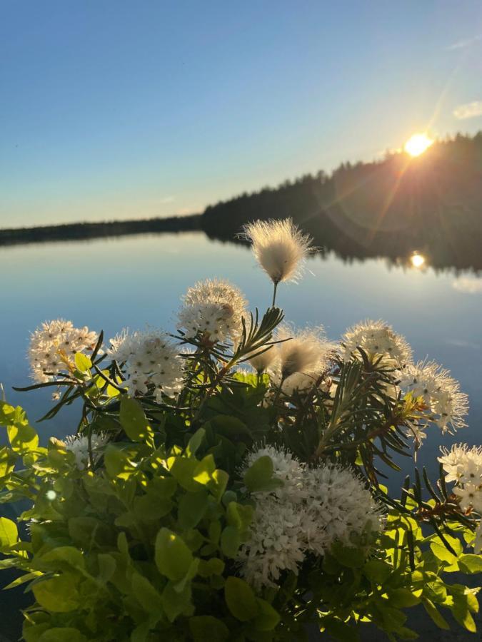 Готель Hossanportti Piispajarvi Екстер'єр фото